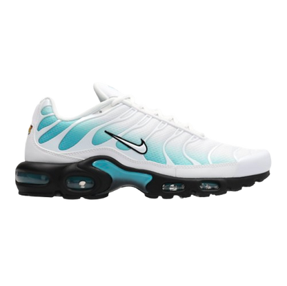 AM Aqua Wave