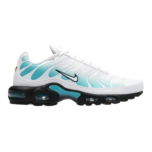 AM Aqua Wave