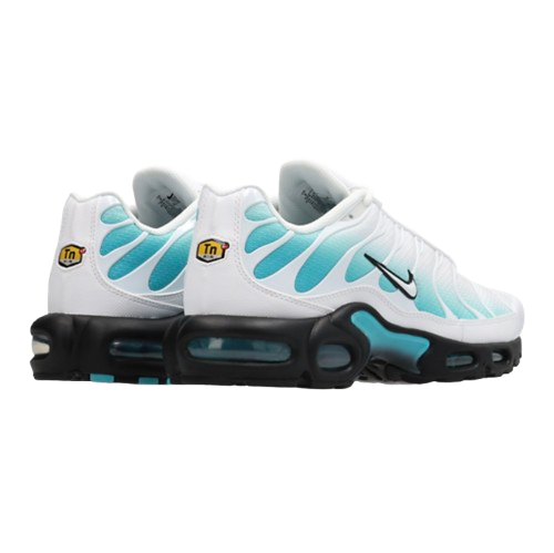 AM Aqua Wave