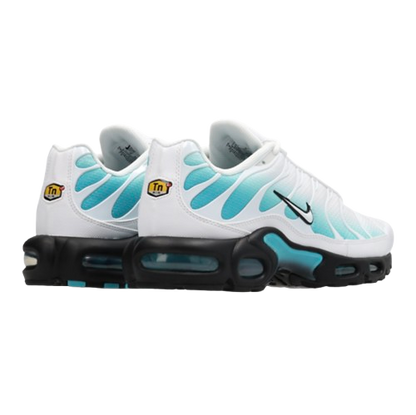 AM Aqua Wave